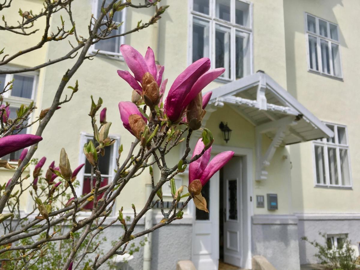 Landhaus Blauer Spatz Reichenau An Der Rax Esterno foto